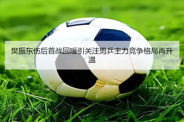 樊振东伤后首战回暖引关注男乒主力竞争格局再升温
